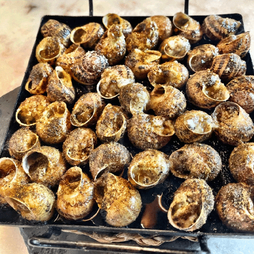 Caracoles a la llauna